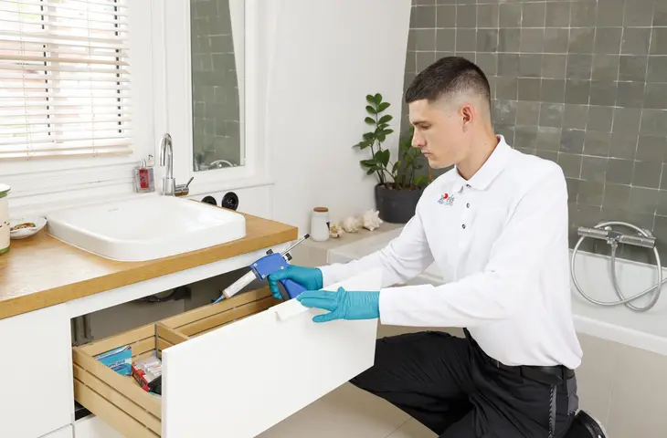 traitement blattes elis pest control