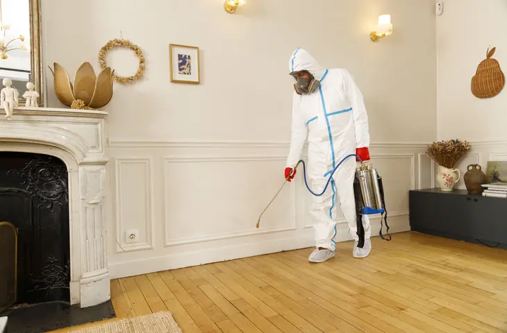 traitement puces elis pest control