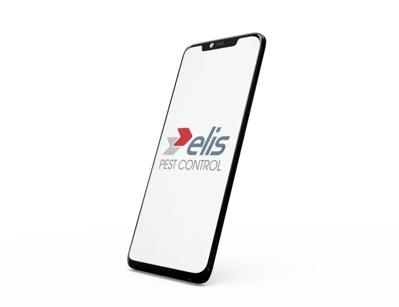 phone