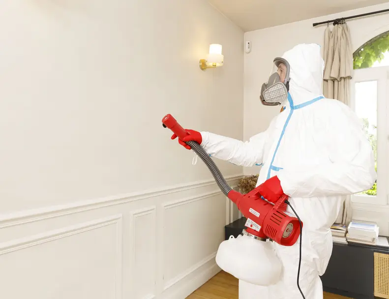 Technicien traite les mouches