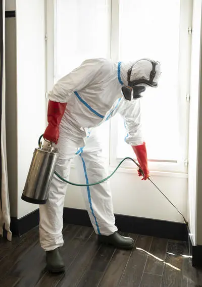 Pest-Control-3